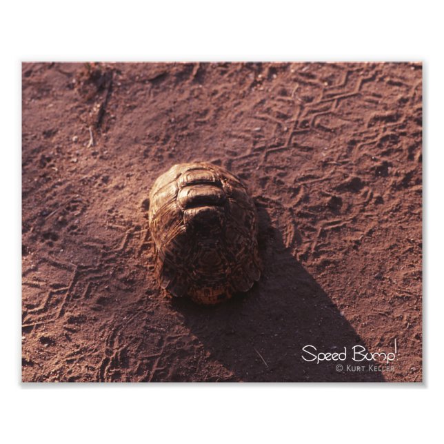 Impression Photo Vitesse (Devant)