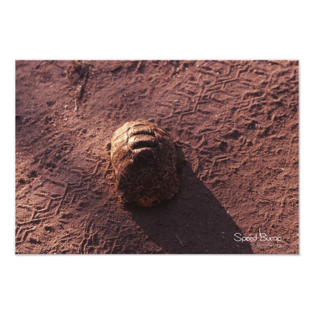 Impression Photo Vitesse (Devant)