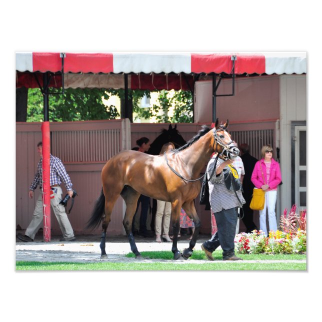 Impression Photo Voici Rosie - Saratoga Paddock (Devant)