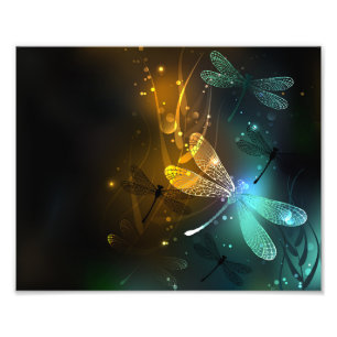 Impression Photo Vol de libellule verte lumineuse