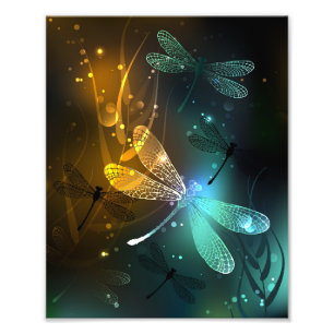 Impression Photo Vol de libellule verte lumineuse