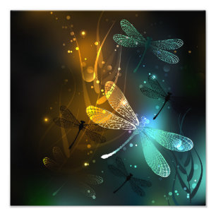 Impression Photo Vol de libellule verte lumineuse