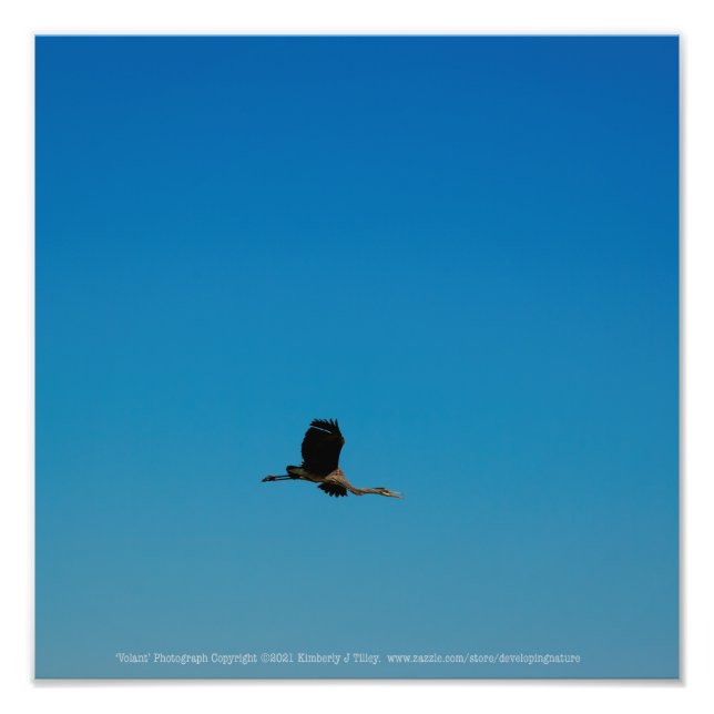 Impression Photo Volant (Devant)