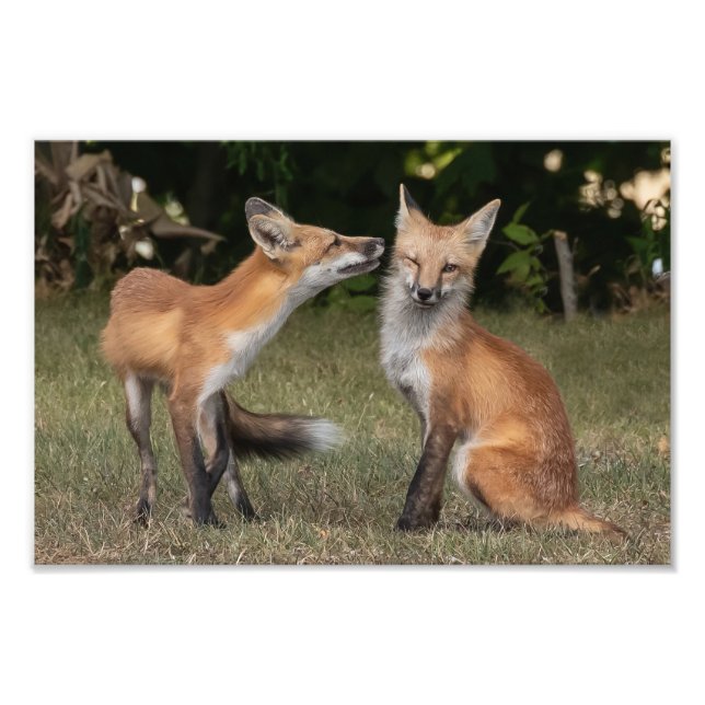 Impression Photo Vous Avez Une Menthe ? (Devant)