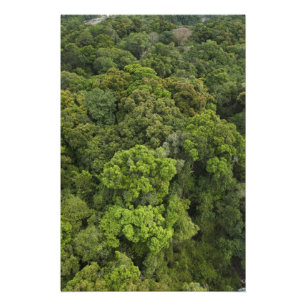 Impression Photo Vue aérienne de la forêt tropicale. Réserve Iwokra