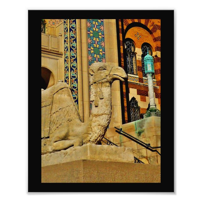 Impression Photo Vue Camel (Devant)
