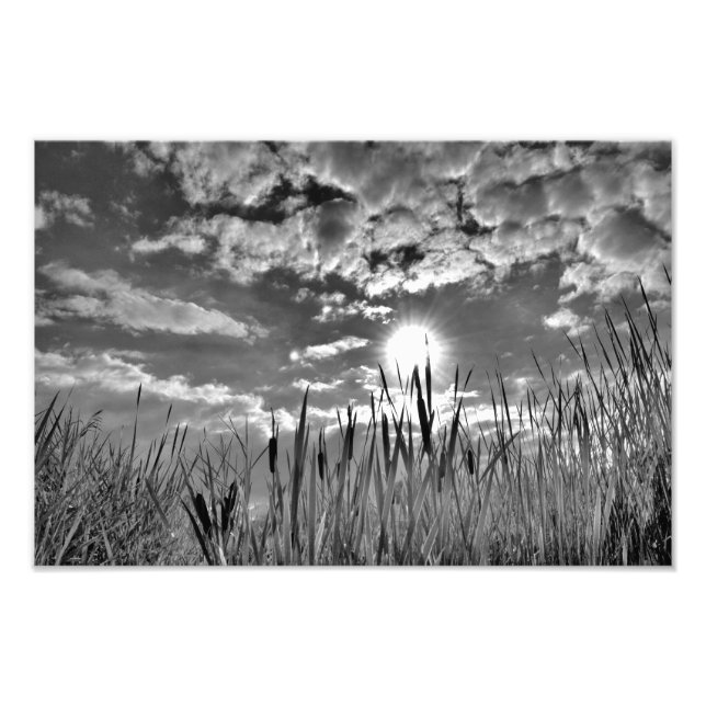 Impression Photo Vue oeil de canard (Devant)