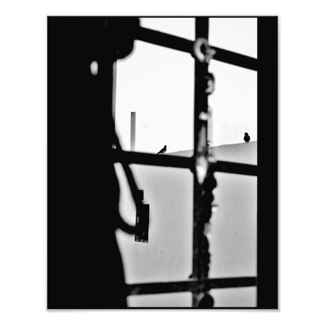 Impression Photo Vue Pigeon (Devant)