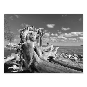 Impression Photo Vue sur le port - Plymouth, Massachusetts