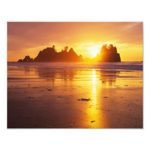Impression Photo WA, parc national olympique, plage de Shi Shi au c
