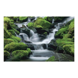 Impression Photo WA, parc national Olympique, vallée de Sol Duc, ru