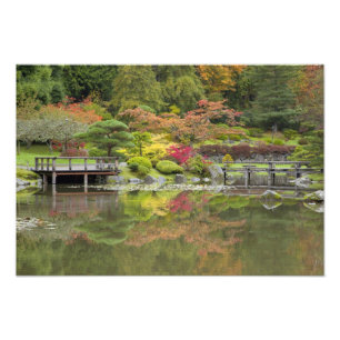 Impression Photo WA, Seattle, Washington Park Arboretum, 3