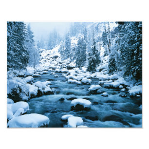 Impression Photo WA, Wenatchee National Forest, Cascade