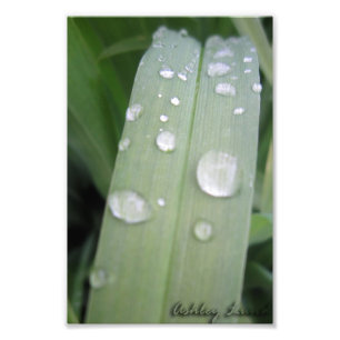 Impression Photo Waterdrops