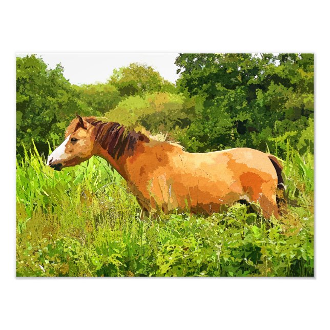 IMPRESSION PHOTO WELSH PONY (Devant)