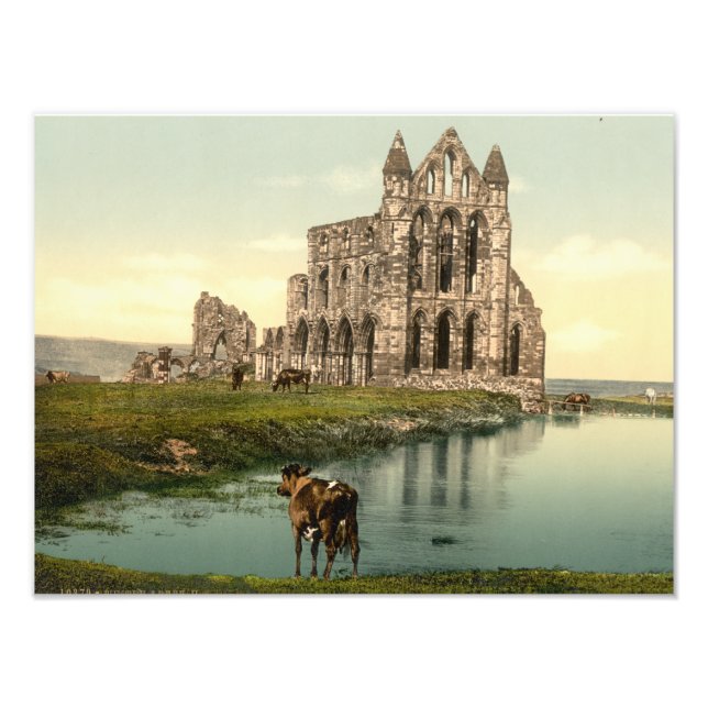 Impression Photo Whitby Abbey II, Whitby, Yorkshire, Angleterre (Devant)