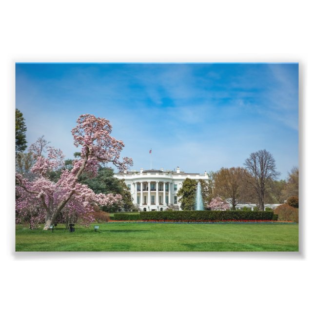 Impression Photo White House in Spring (Devant)