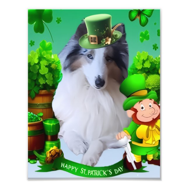 Impression Photo White Rough Collie celebrating St. Patrick's Day (Devant)