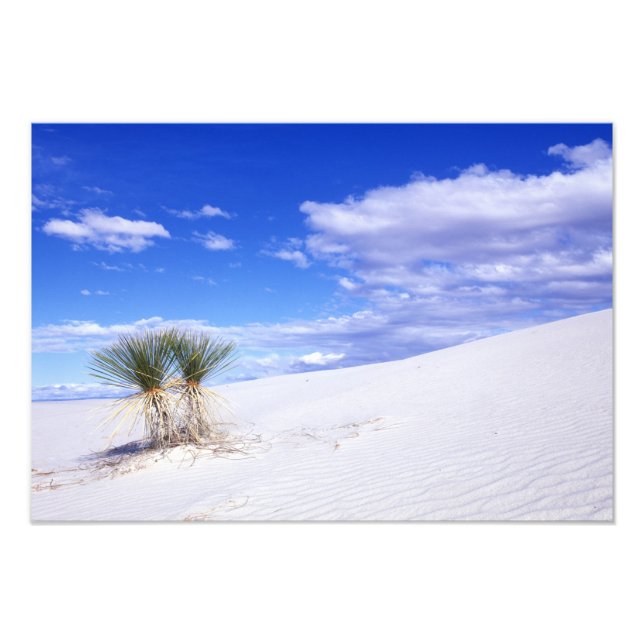 Impression Photo White Sands NM, Nouveau-Mexique, USA (Devant)
