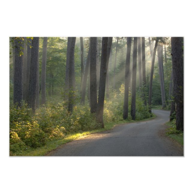 Impression Photo Wilderness Drive, parc d'État d'Itasca, (Devant)