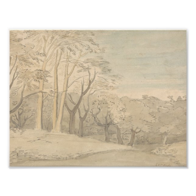 Impression Photo William Blake - Un paysage boisé (Devant)