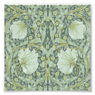Impression Photo William Morris, motif Art nouveau, art magnifique