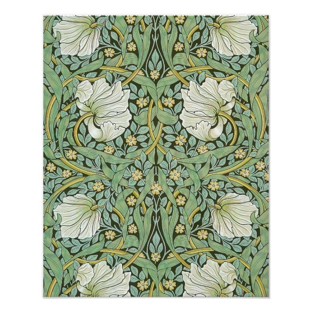 Impression Photo William Morris - Pimpernel (Devant)