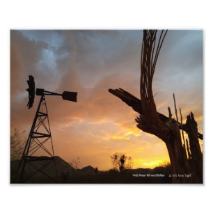 Impression Photo Windmill et Saguaro Cactus Skeleton au coucher du