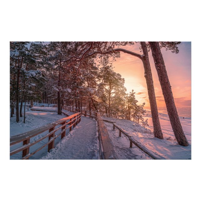 Impression Photo Winter sunset in pine forest near sea (Devant)
