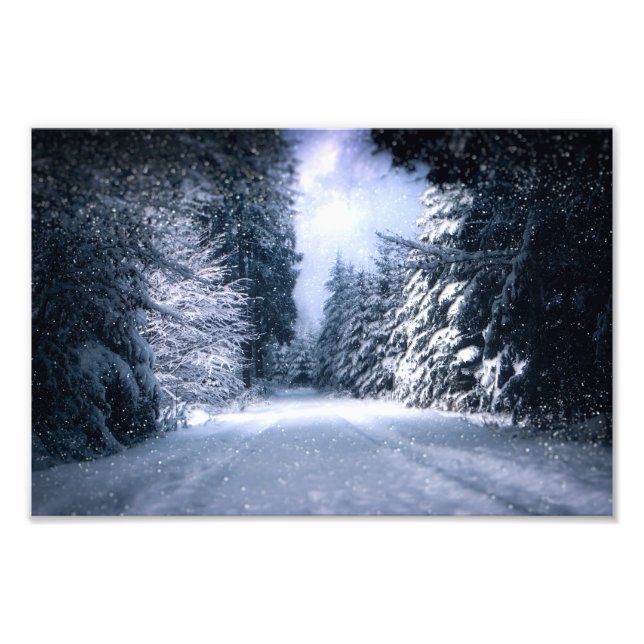 Impression Photo Winter Wonderland Forest Snowfall (Devant)