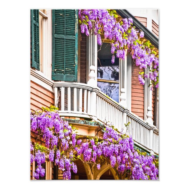 Impression Photo Wisteria sur une maison Vintage du sud à Savannah (Devant)