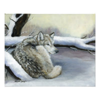Wolf Laying in the Snow Art