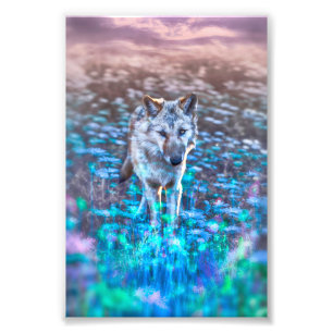 Impression Photo Wolf Puppy LONG PEUT VOTRE INNOCENCE REIGN