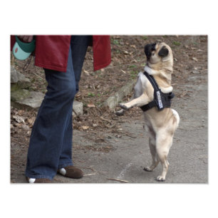 Impression Photo Womanizer