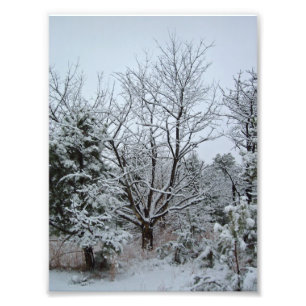 Impression Photo Wonderland