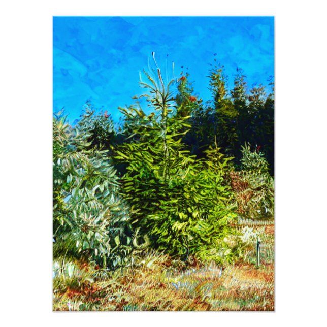 IMPRESSION PHOTO WOODLAND (Devant)