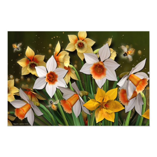 Impression Photo Wordsworth (Devant)