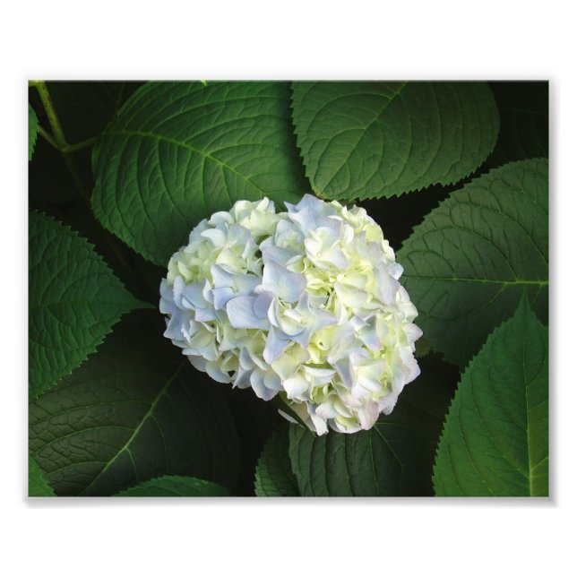 IMPRESSION PHOTO WOW ! (Devant)