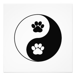 Impression Photo Yin Yang Chien Paw