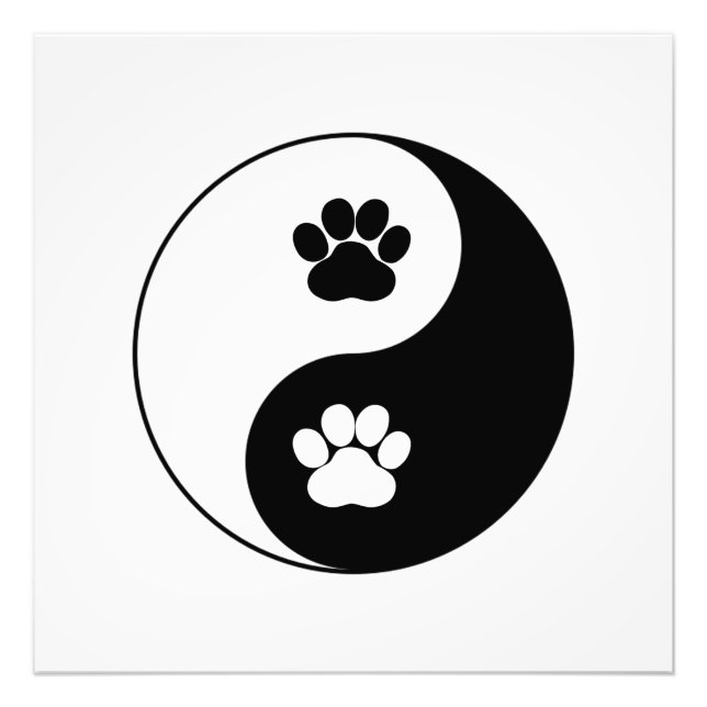 Impression Photo Yin Yang Chien Paw (Devant)