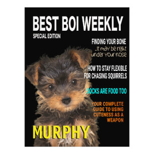 Impression Photo Yorkshire Terrier Parody Magazine Couverture