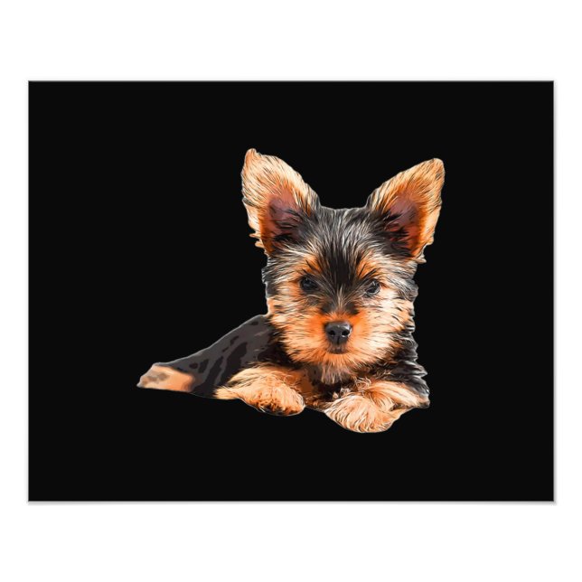 Impression Photo Yorkshire terrier Yorkie Chien chiot (Devant)