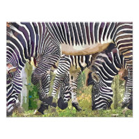 ZEBRAS