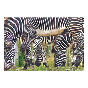 IMPRESSION PHOTO ZEBRAS