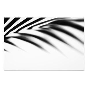 Impression Photo Zen d'ombre. Palmette. Monochrome