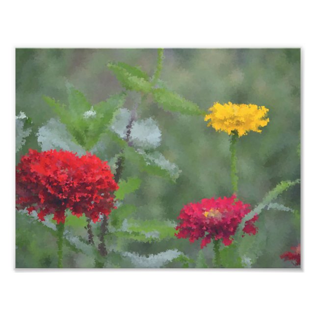 Impression Photo Zinnias impressionniste (Devant)