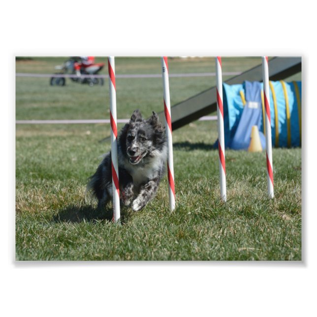 Impression Photo Zoé 2 (Devant)