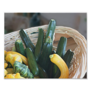 Impression Photo Zucchini Summer Squash Gourds Légumes 8x10