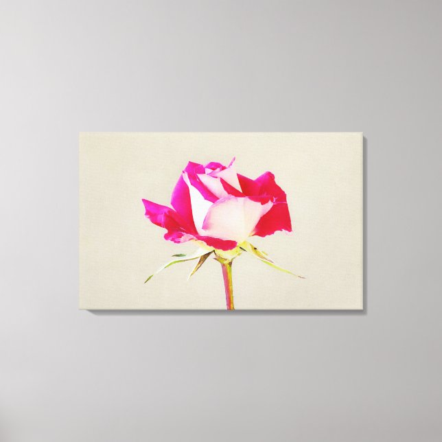 Impression photographique à un Rose (Recto)