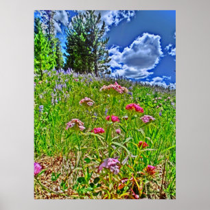 Impression pittoresque de toile du Colorado